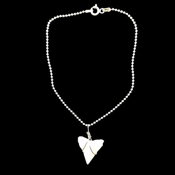 Anklet 925 Sterling Silver Chain and Real Shark Tooth Charm - Picture 3 of 5